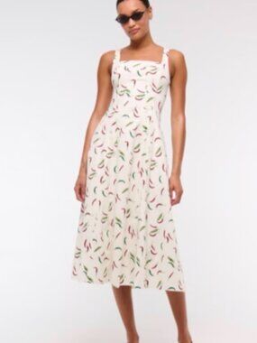 NWT Abercrombie & Fitch Mila Fit and Flare Dress in Spicy Chilis Print